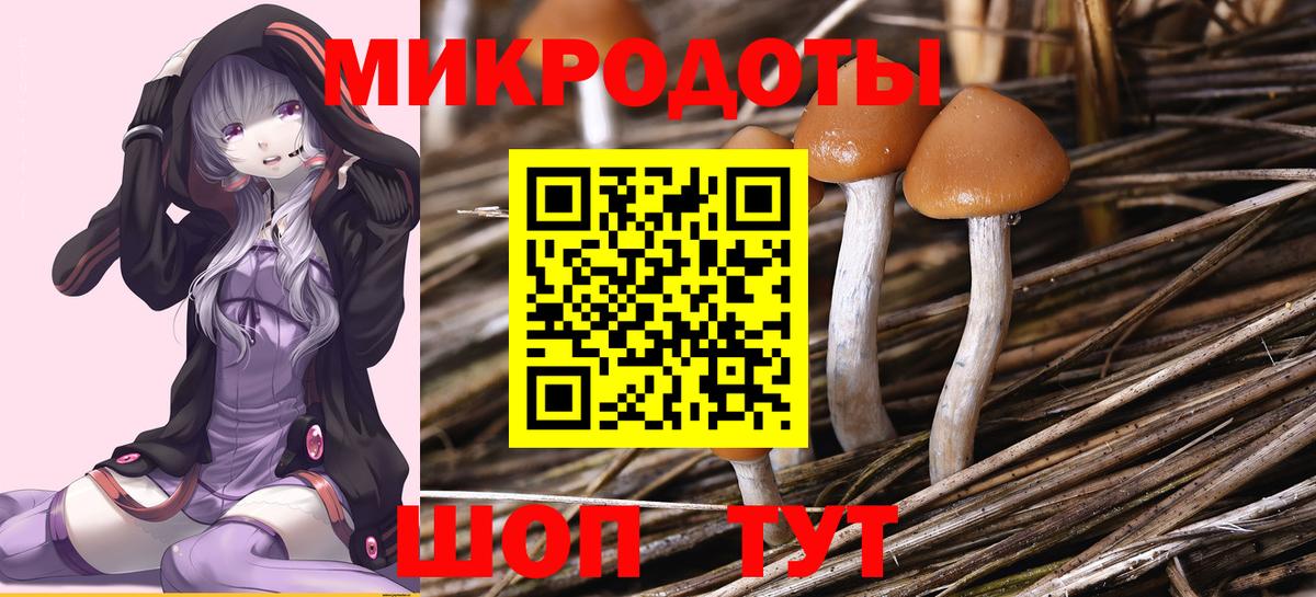 Волгодонск  купить наркотики цена  Галлюциногенные грибы мухоморы  Вход с VPN  Псилоцибиновые грибы Psilocybine cubensis 